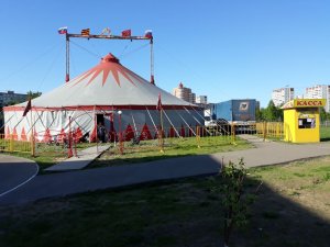 Магия цирка