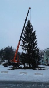 Инстаграм Ярцево Ру @yartsevoru сообщил об установке главной ёлки города