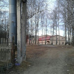 Тупорылые граждане организовали стихийную помойку в парке