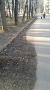 Будем ли мы приводить город в порядок, не дожидаясь субботников?