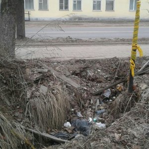 Будем ли мы приводить город в порядок, не дожидаясь субботников?