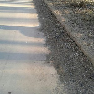 Будем ли мы приводить город в порядок, не дожидаясь субботников?