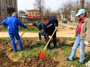 Партийный проект - посадка картошки на огородах
