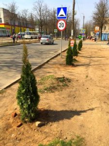 Партийный проект - посадка картошки на огородах