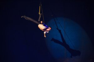 Впервые в Ярцево Санкт-Петербургский Цирк-шапито "Премьера"