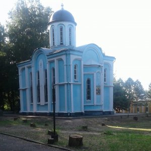 Кому помешали деревья?