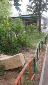 Жителей Пионерного кинули на детскую площадку