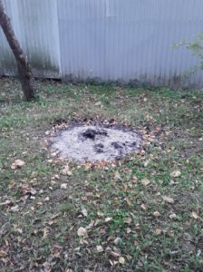 И вороны кружат, там где раньше был цветущий сад.