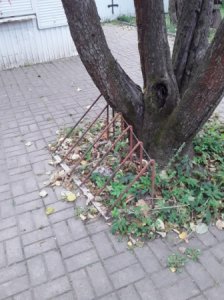 И вороны кружат, там где раньше был цветущий сад.