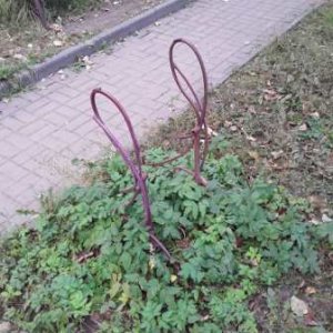 И вороны кружат, там где раньше был цветущий сад.