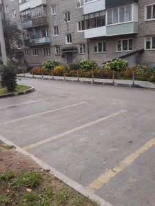 Когда автомобилистам не лень собачиться