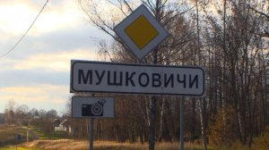 "Рыболов" попался в сеть