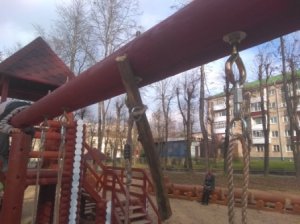 Депутаты единороссы в розовых очках