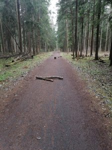 Лежало на пути бревно, мешало путникам оно