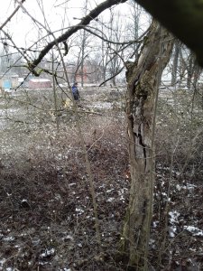 Эге-гей! Привычны руки к топорам