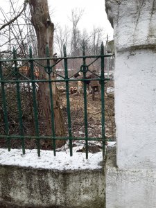 Эге-гей! Привычны руки к топорам