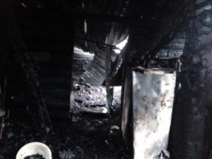 В.Макарову и М.Фролову фиолетово