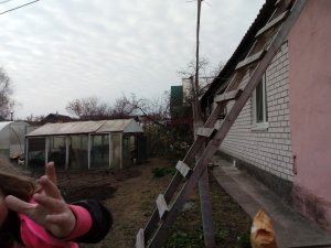 В.Макарову и М.Фролову фиолетово