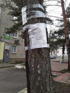 Гуляем по городу вместе с инстаграм Ярцево.ру