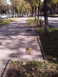 Потерялась лавочка