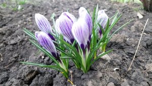 19 марта. Мозговой релакс.