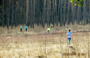 Все на спортивное ориентирование!
