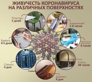 Все, что надо знать о коронавирусе.