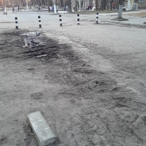 Туёвая уборочка