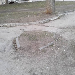 Туёвая уборочка