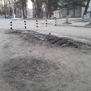 Туёвая уборочка