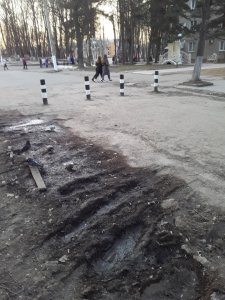 Туёвая уборочка