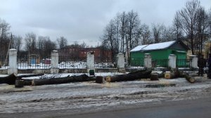 Власть молчит, а Граков пилит.