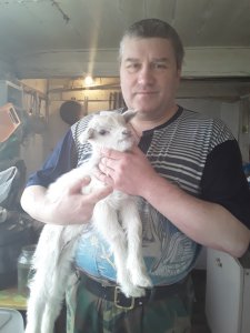Новый вид деятельности сайта Ярцево Ру