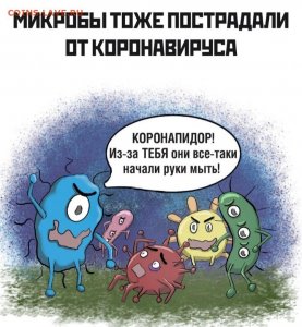 Ежедневная сводка по коронавирусу на Смоленщине.29.04.2020 г.