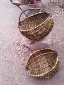 Дары природы