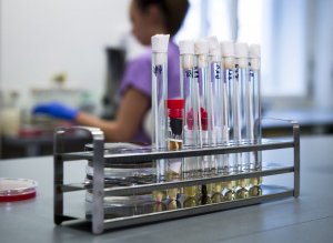 Коронасводка на 1 июня 2020 года. Выздоравливают меньше, чем заболевают.