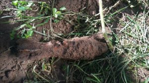 Боеприпасы времен войны всё еще опасны