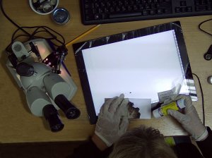Не волшебники – работа такая!