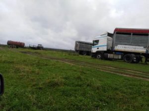 На Смоленщине добивают сельское хозяйство