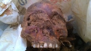 На ярцевском стадионе, где было массовое захоронение, начались тренировки
