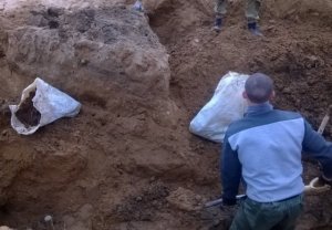 На ярцевском стадионе, где было массовое захоронение, начались тренировки