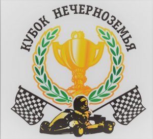 Смоленские картингисты попали в призёры