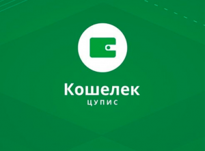ЦУПИС