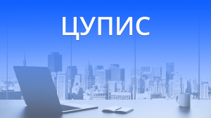 ЦУПИС