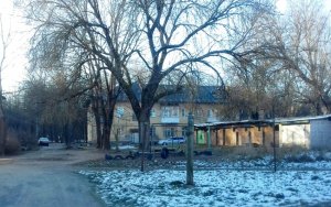 Джунгли на улице Чайковского