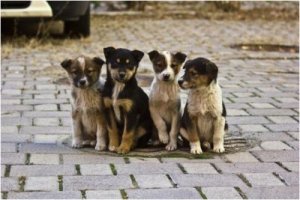 Уважаемые ярцевчане!