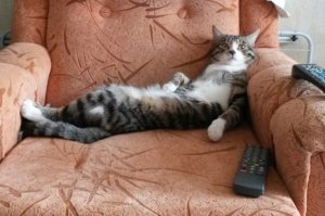 Как будем отдыхать в феврале?