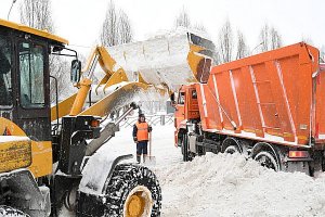 Зарылись в снег