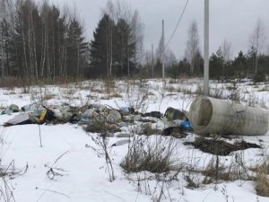 В Пронькино будет ликвидирована стихийная свалка