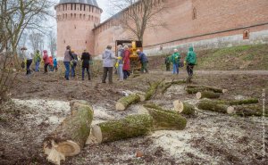 В Смоленске стартовал экологический месячник